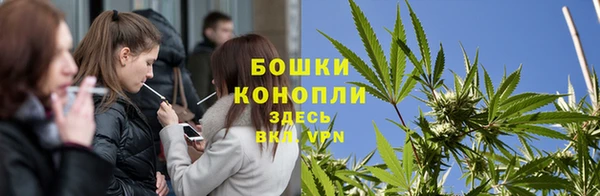 индика Струнино