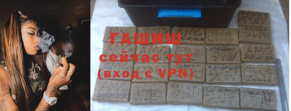 индика Струнино