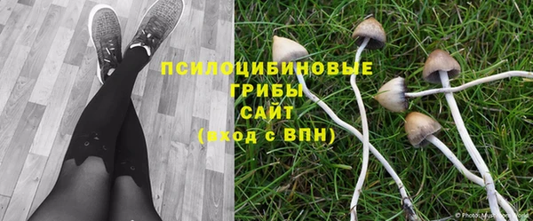 соль ск Вязьма
