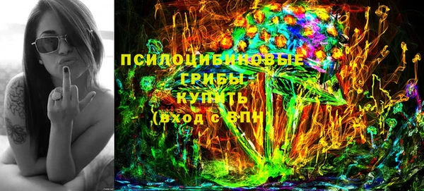 соль ск Вязьма